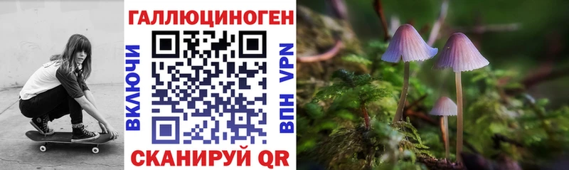 Псилоцибиновые грибы GOLDEN TEACHER  Купить закладки  Курганинск 