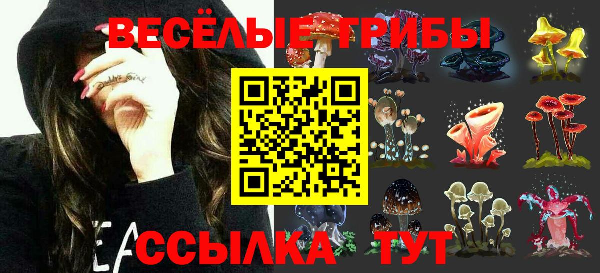 Псилоцибиновые грибы Psilocybine cubensis Курганинск