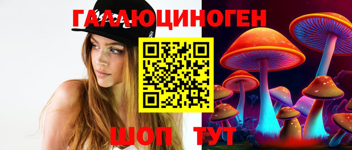 наркота  Вход с VPN  Курганинск  Галлюциногенные грибы Psilocybe 
