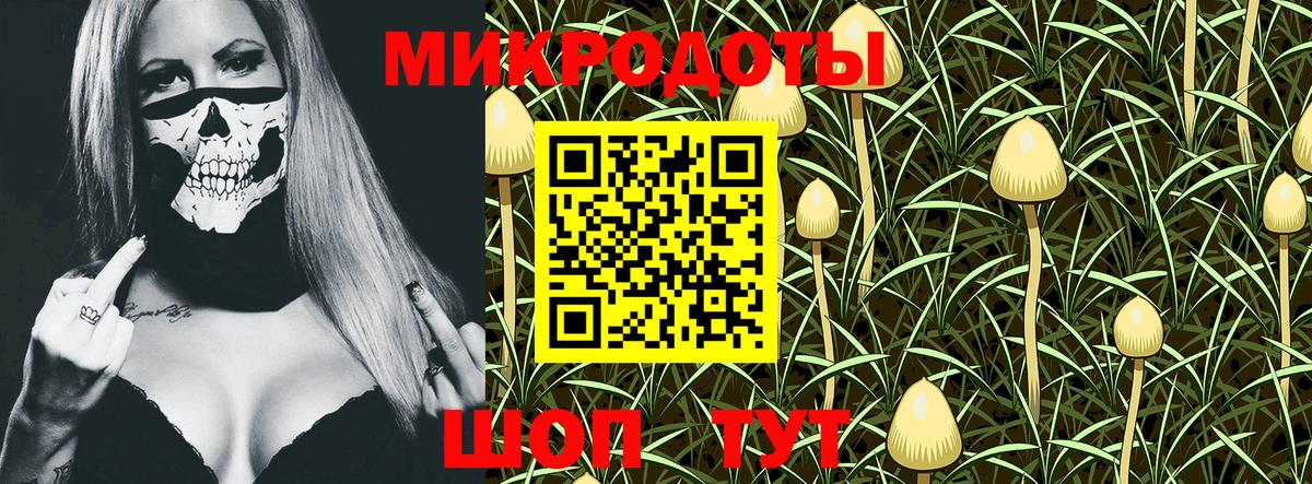 Псилоцибиновые грибы MAGIC MUSHROOMS Курганинск