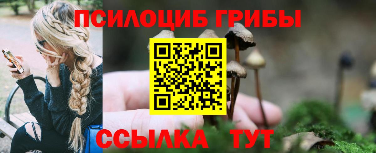 Галлюциногенные грибы мицелий  Курганинск  Псилоцибиновые грибы Psilocybine cubensis 